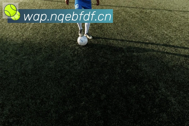 爱游戏ayx平台生态图