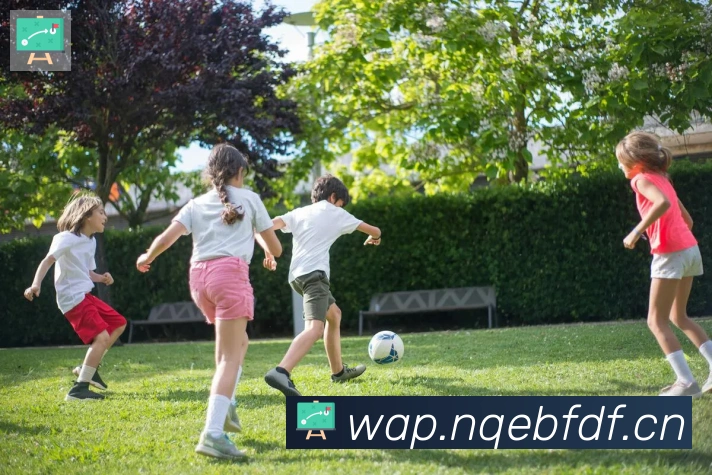 爱游戏ayxAPP 高清赛事图