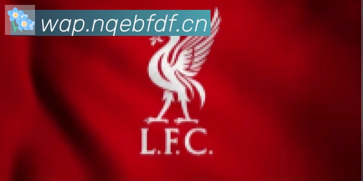 爱游戏ayx合作伙伴