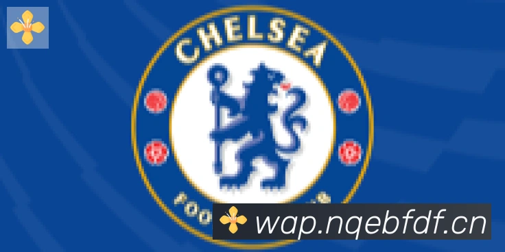 爱游戏ayx合作伙伴